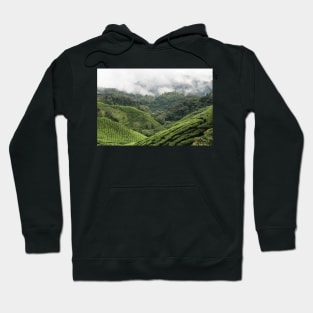 Cameron Highlands - Malaysia Hoodie